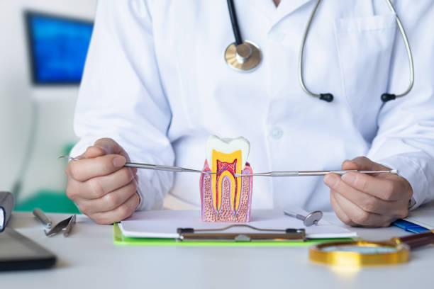 Best Emergency Dental Care for Abscessed Tooth in Elroy, NC